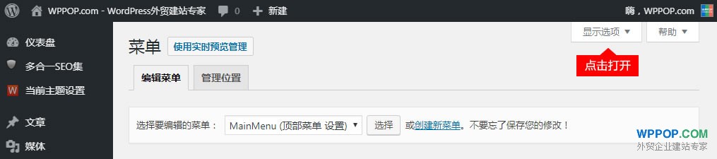 导航菜单 - 按钮样式 教程 - 常见问题 - 3 WordPress菜单 显示选项