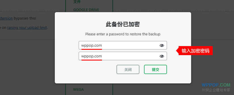 WordPress网站迁移搬迁插件 - All in one WP migration - 插件资源 - 7 输入备份密码