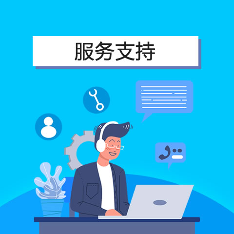 服务支持/年